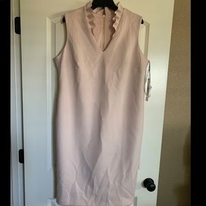 NWT Calvin Klein Dress